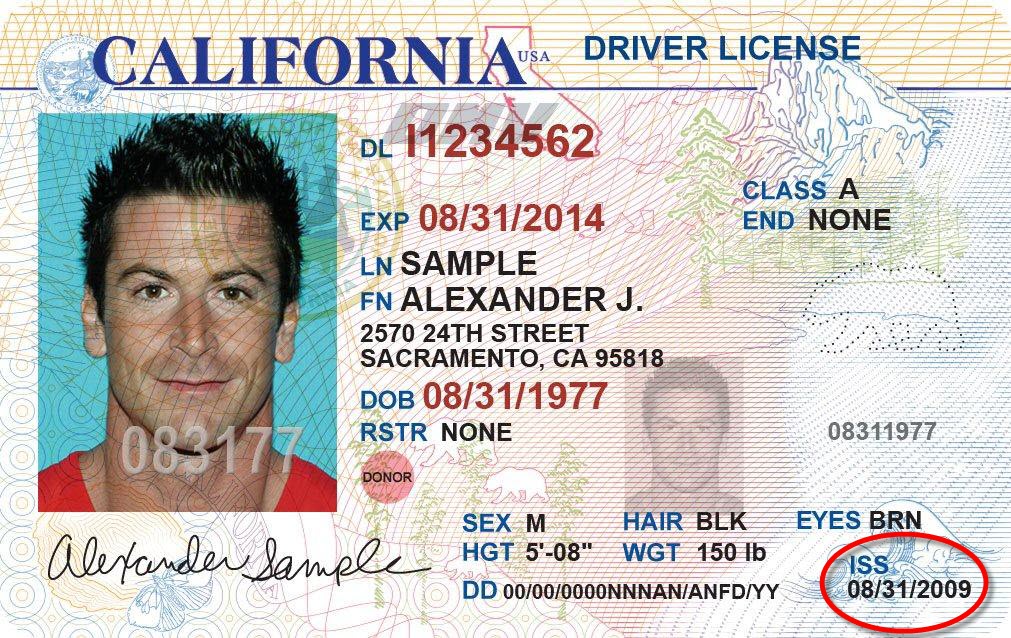 fl drivers license back ground check